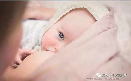 喂奶镜头在线观看,在线观看喂奶镜头，感受亲子温馨时光  第2张